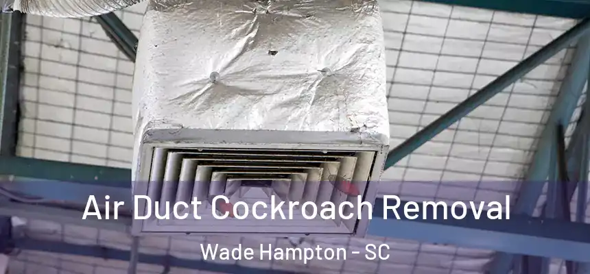Air Duct Cockroach Removal Wade Hampton - SC