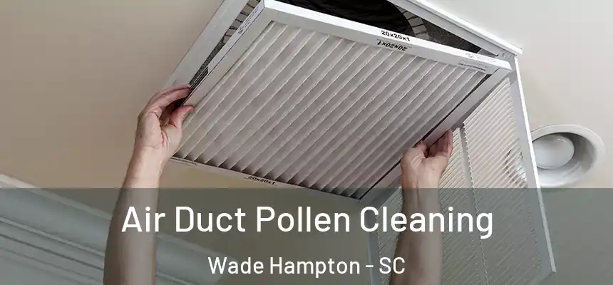 Air Duct Pollen Cleaning Wade Hampton - SC