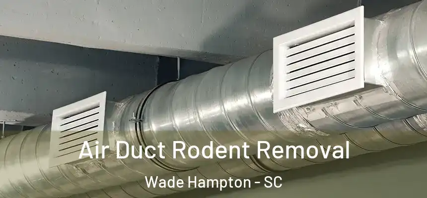  Air Duct Rodent Removal Wade Hampton - SC
