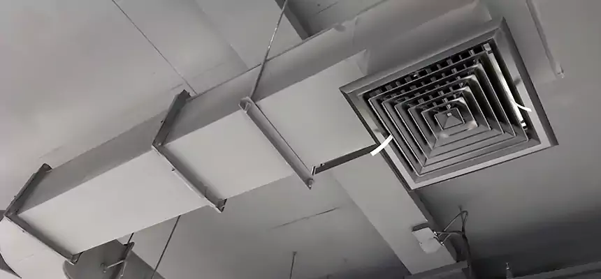 Restorative Allergy Relief Vent Cleaning – Coil, Blower & Housing Detail in Wade Hampton