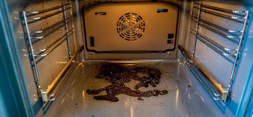 Our Dryer Vent Mold Cleaning Services in Wade Hampton, SC