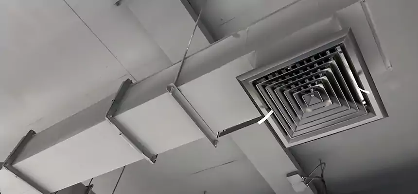 Our Rodent Droppings In Vents Services in Wade Hampton, SC