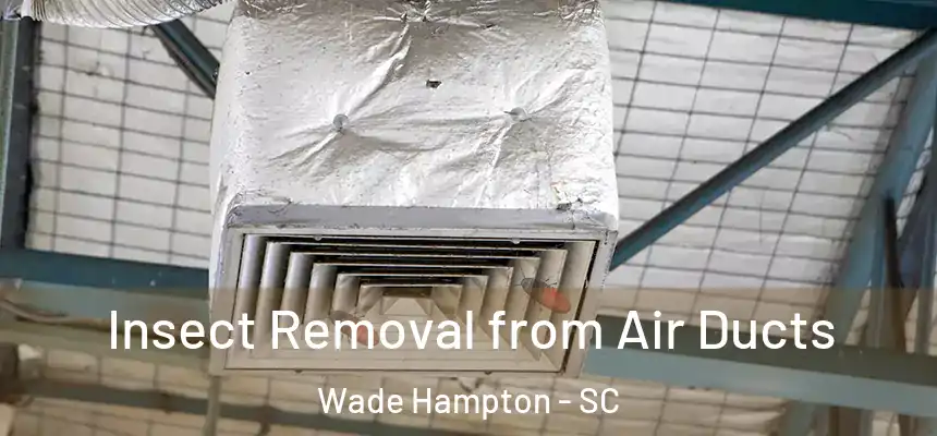  Insect Removal from Air Ducts Wade Hampton - SC