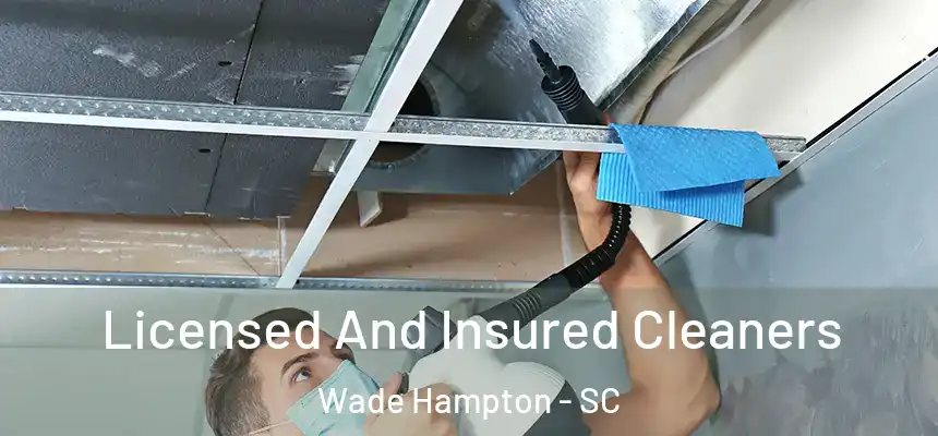  Licensed And Insured Cleaners Wade Hampton - SC