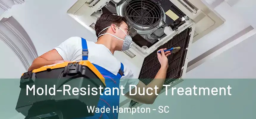  Mold-Resistant Duct Treatment Wade Hampton - SC