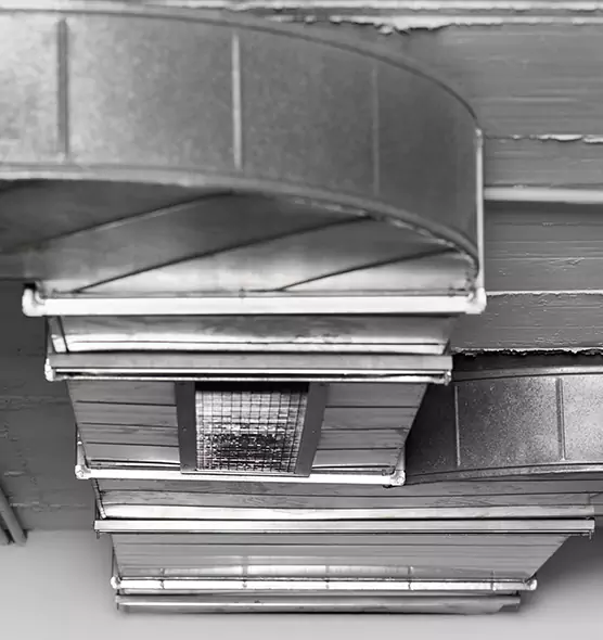 Professional Air Duct Pet Hair Removal in Wade Hampton, SC