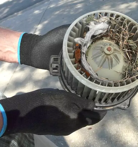 About Air Duct Rat Removal in Wade Hampton, SC