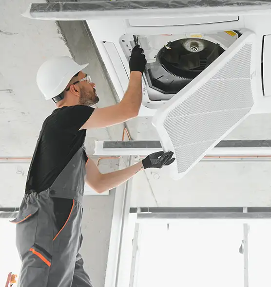 About Air Duct Rodent Removal in Wade Hampton, SC