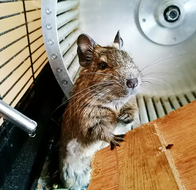 Why Homeowners & Businesses Trust Us Wade Hampton, SC