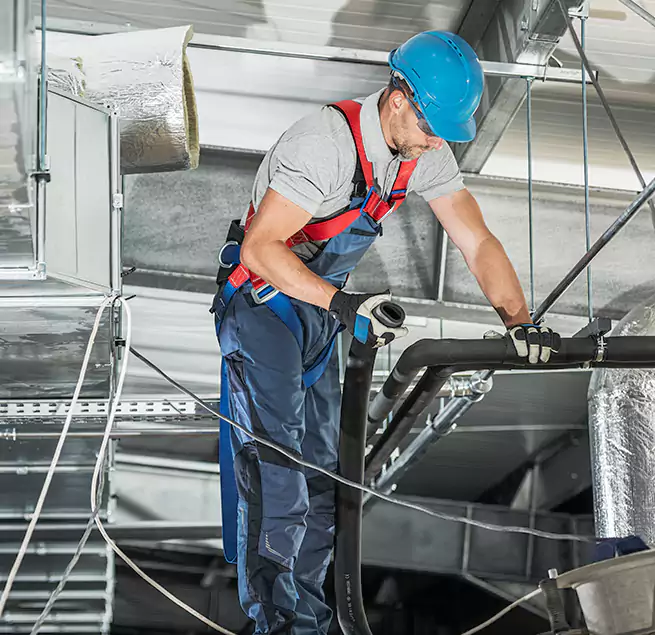 Why Homeowners & Businesses Trust Us in Wade Hampton, SC?