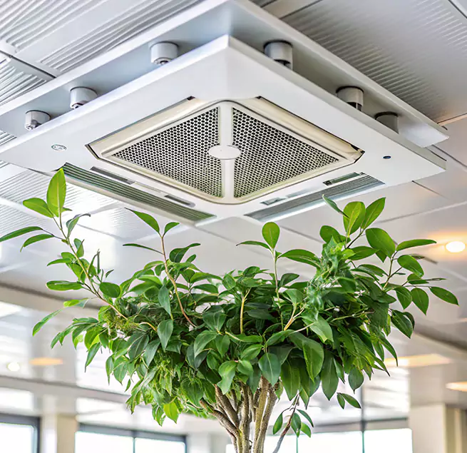 Why Homeowners & Businesses Trust Us in Wade Hampton, SC?