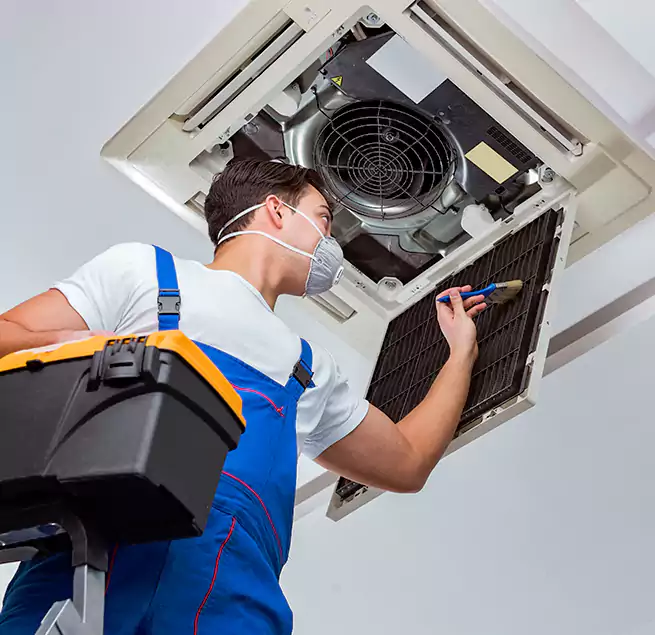 Why Homeowners & Businesses Trust Us in Wade Hampton, SC?