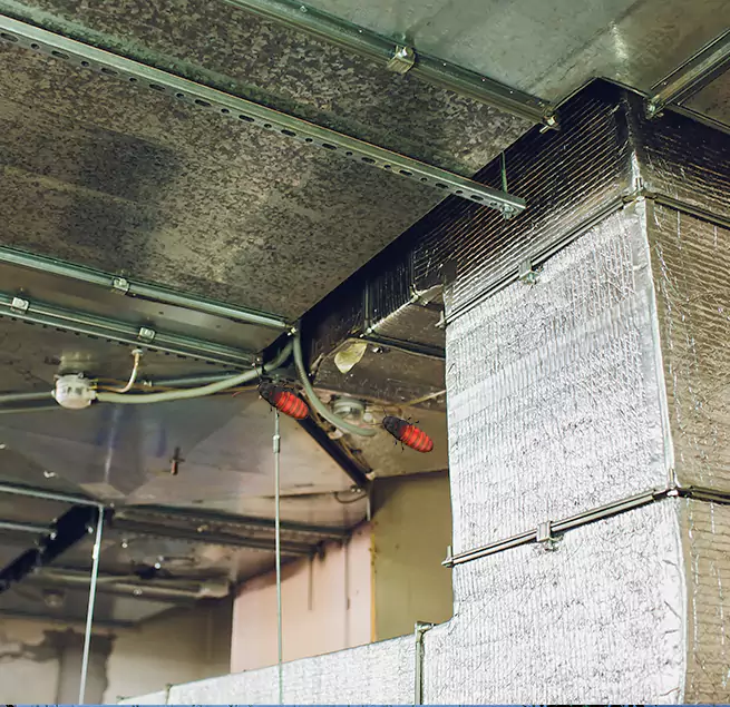 Why Homeowners & Businesses Trust Us Wade Hampton, SC?