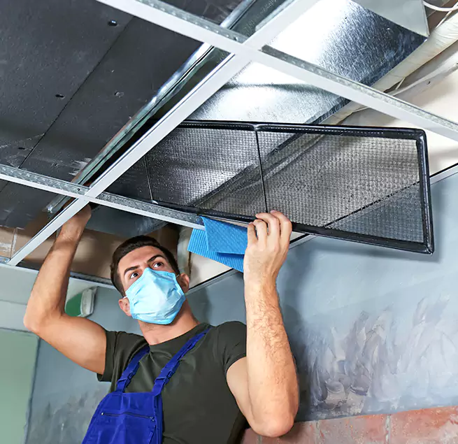 Why Homeowners & Businesses Trust Us in Wade Hampton, SC?